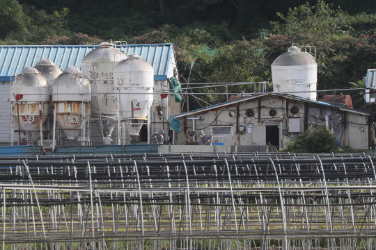 아프리카돼지열병 방역작업      (파주=연합뉴스) 임병식 기자 = 19일 경기도 파주시의 아프리카돼지열병(ASF) 발생 양돈농가에서 방역당국이 농장 내부를 정리하고 있다. 2019.9.19      andphotodo@yna.co.kr  (끝)